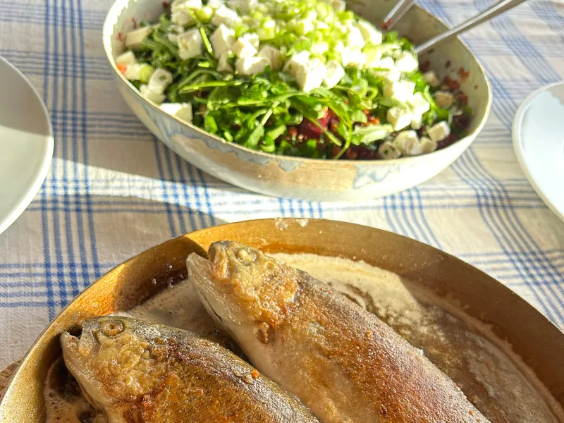 Küste, Kultur und Kulinarik